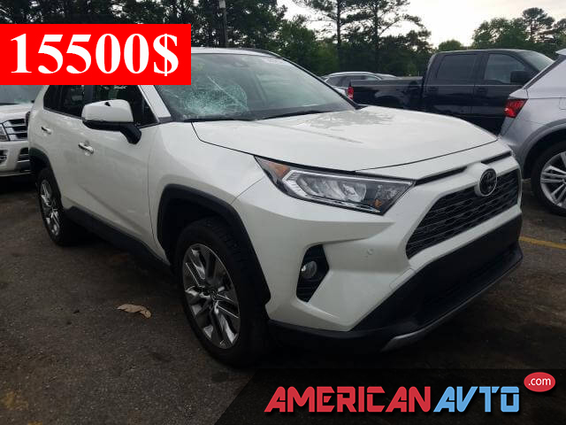 TOYOTA RAV4 LIMITED 2019 в США