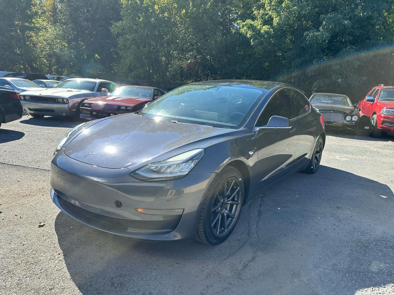 Купить б/у TESLA MODEL 3 2019 года в США, ТЕСЛА 3 2019 года из США, Купить б/у TESLA MODEL 3 2019 года года в США