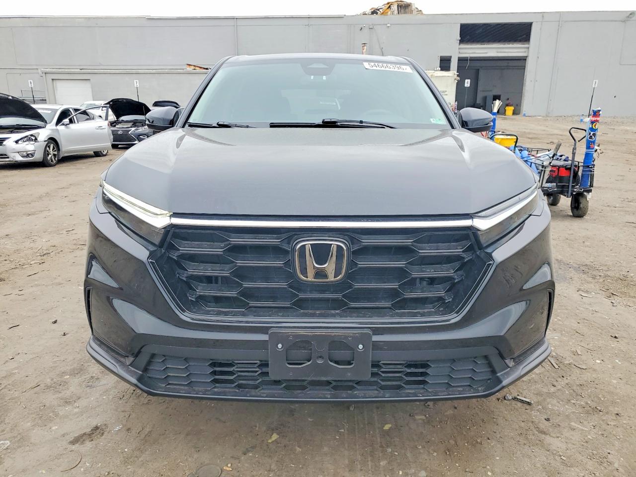 Купить б/у HONDA CR-V EX 2025 года года в США, ХОНДА СРВ 2025 из США, Купить б/у HONDA CR-V EX 2025 года года в США